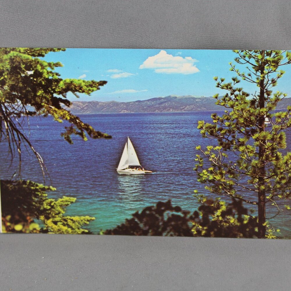 Vintage Postcard - Sailboat on Lake Tahoe - Dexter Press
